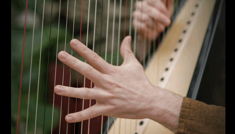 Kevin Le Pennec et sa harpe, en live ce jeudi !